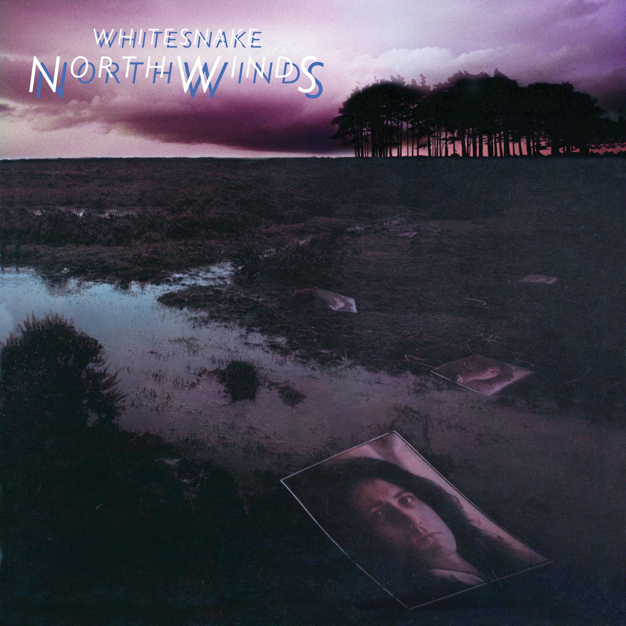 Whitesnake - North Winds
